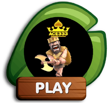 ace333